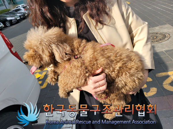 한국동물구조관리협회_411311202300147